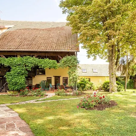 Hortensia - Piscine Partagee * Hessenheim