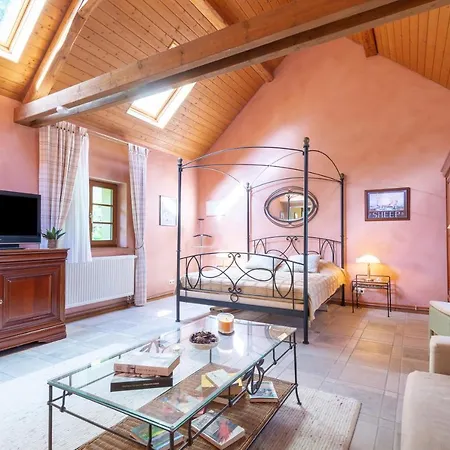 Hortensia - Piscine Partagee 別荘 Hessenheim