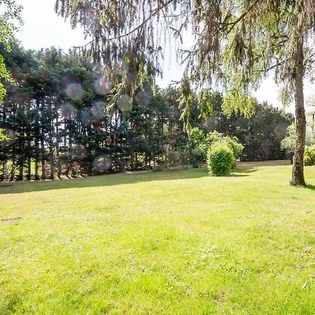 Hortensia - Piscine Partagee